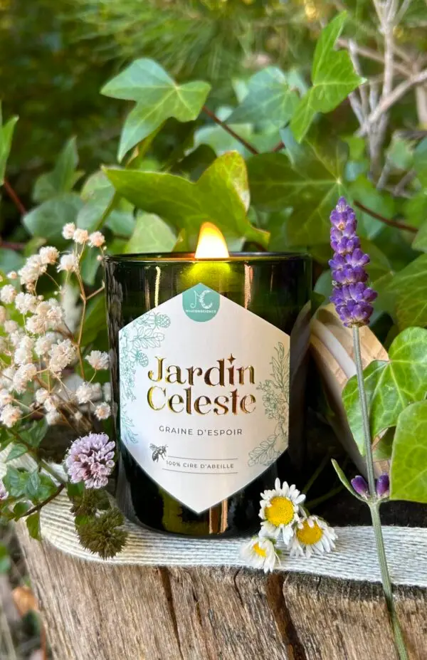 Graine d'espoir – Image 3