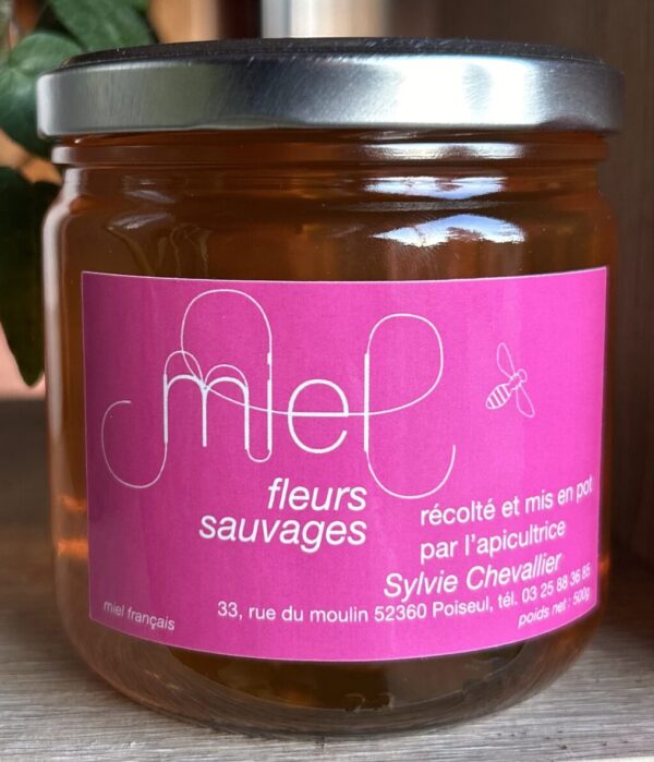 Miel de FLEURS SAUVAGES - 500g